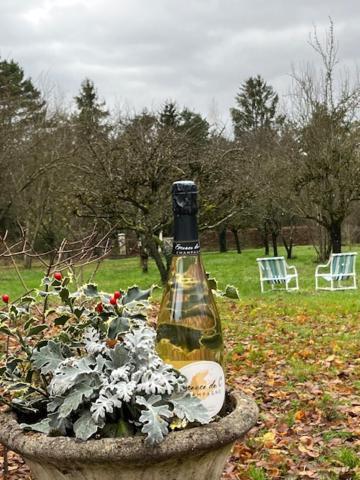 "Aux Chants Des Oiseaux" Domaine De La Renardiere Les Grandes-Loges 외부 사진